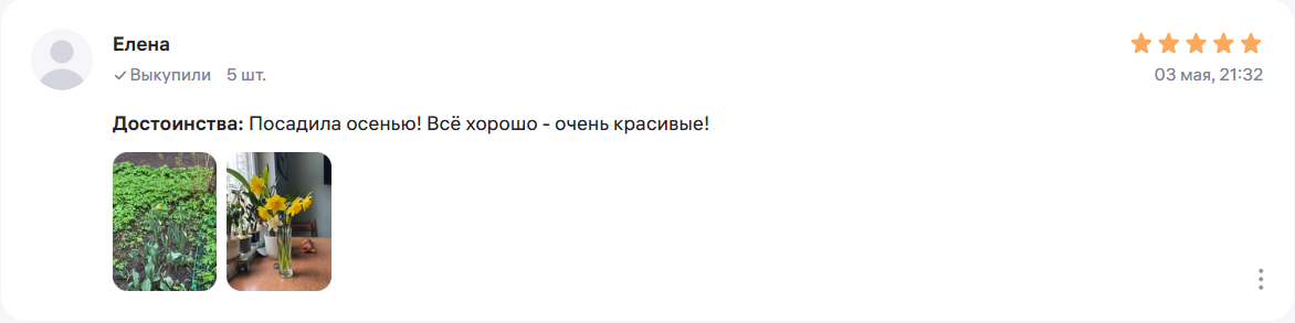 Отзыв Елены о нарциссах: посадила осенью, всё взошло — с фото букета жёлтых нарциссов